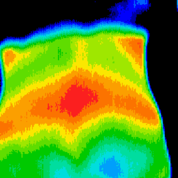 thermal-scan