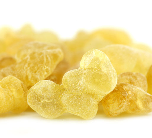 frankincense_resin_1.jpg